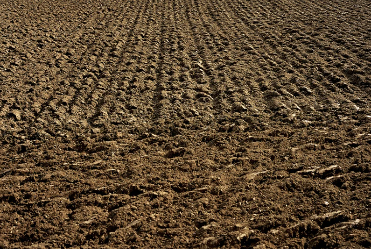 災害時には「畑や庭に穴を掘って用をたせばいい」と思っていませんか？